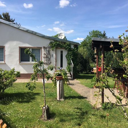 Ferienhaus An Der Selke 마이스도르프 외부 사진