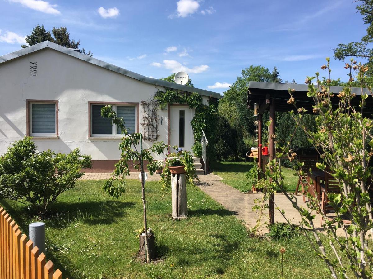 Ferienhaus An Der Selke 마이스도르프 외부 사진